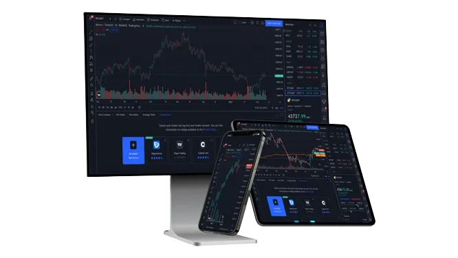 Создавай аккаунт пройдя простую процедуру регистрации на Pocket Option.